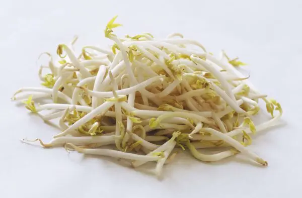 Beansprouts