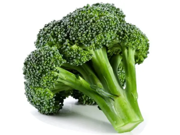 Broccoli