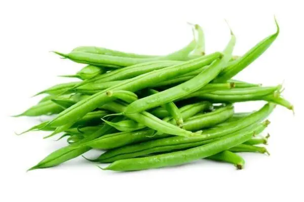 Beans Fine Green