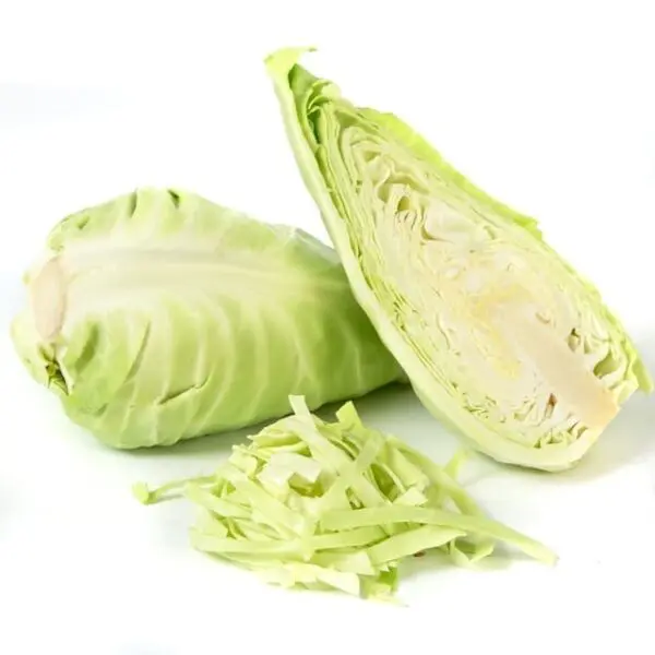 Cabbage Pointed