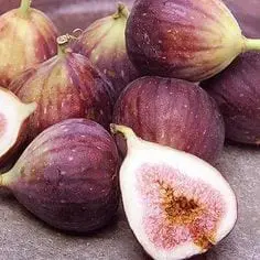 Figs