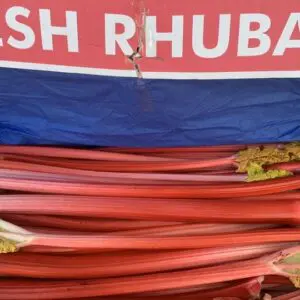 Rhubarb from Yorkshire