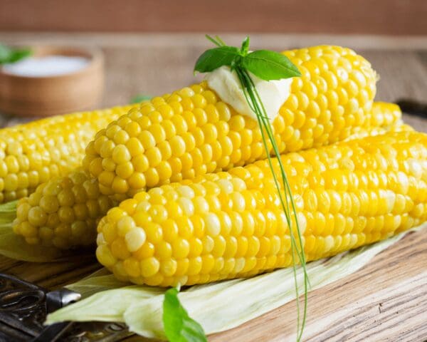 Corn Cobs Pre-Cooked