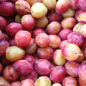 400g Victoria Plums